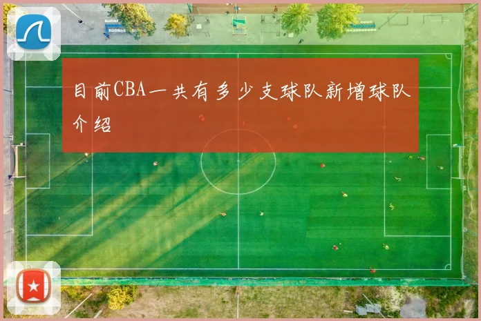 目前CBA一共有多少支球队新增球队介绍