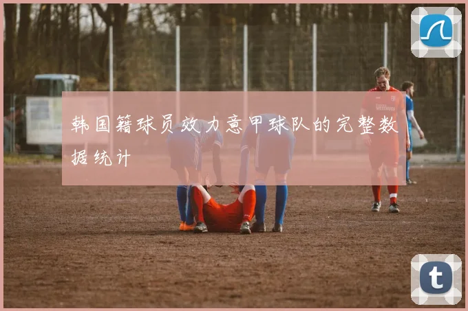 韩国籍球员效力意甲球队的完整数据统计